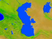 Caspian Sea Vegetation 1200x900